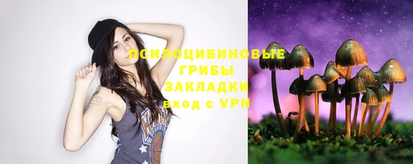 ГАЛЛЮЦИНОГЕННЫЕ ГРИБЫ Абинск