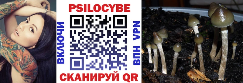 Псилоцибиновые грибы MAGIC MUSHROOMS закладка Нестеровская